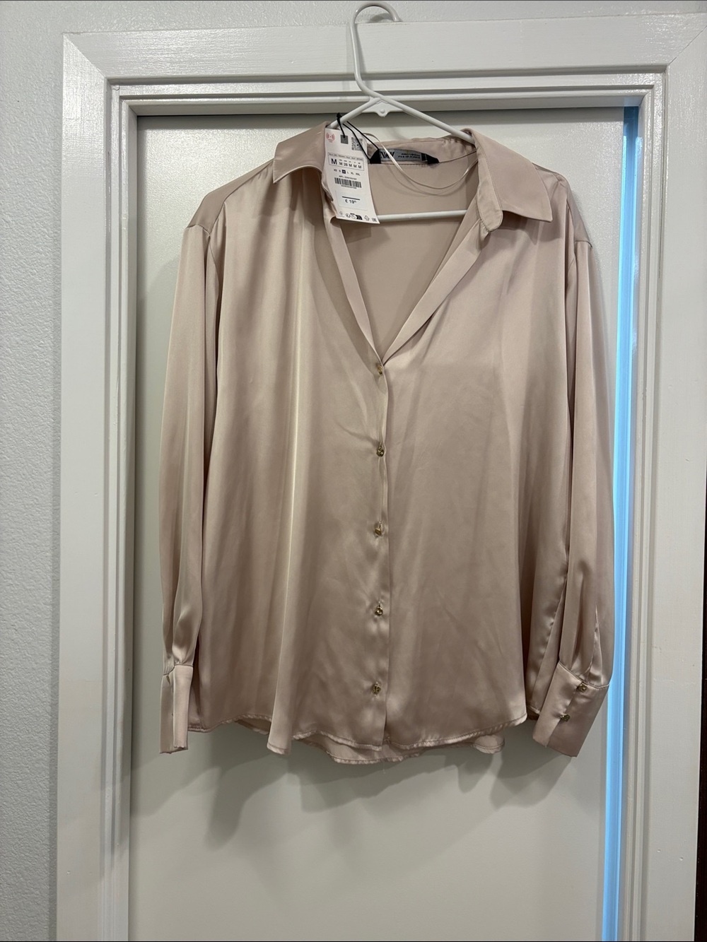 Zara Satin Button-Down Blouse in Light Blush